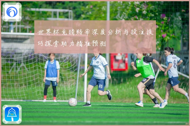 世界杯竞猜赔率深度分析与投注技巧探索助力精准预测