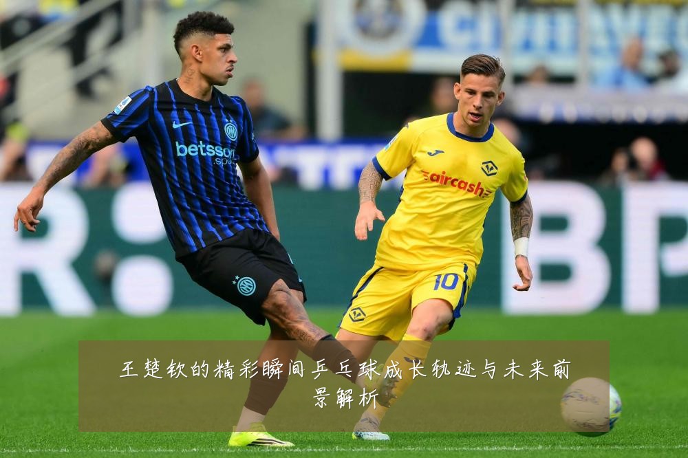 王楚钦的精彩瞬间乒乓球成长轨迹与未来前景解析